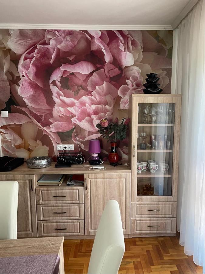 Rozsa Nyaralohaz Villa Balatonboglár Dış mekan fotoğraf