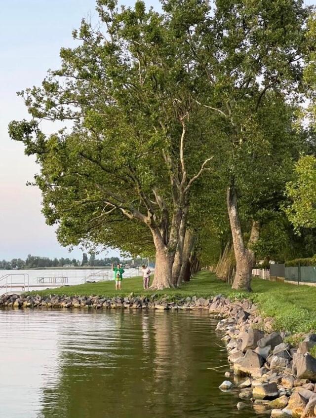 Rozsa Nyaralohaz Villa Balatonboglár Dış mekan fotoğraf