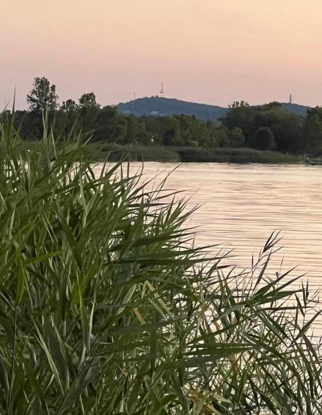 Rozsa Nyaralohaz Villa Balatonboglár Dış mekan fotoğraf