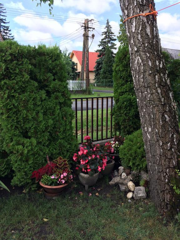 Rozsa Nyaralohaz Villa Balatonboglár Dış mekan fotoğraf