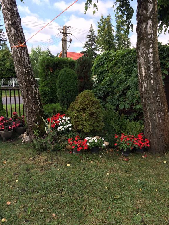 Rozsa Nyaralohaz Villa Balatonboglár Dış mekan fotoğraf